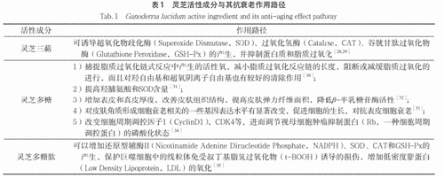 杭州亞運(yùn)會(huì)官方靈芝產(chǎn)品供應(yīng)商|杭州亞運(yùn)會(huì)官方供應(yīng)商|中國(guó)靈芝十大品牌|仙客來(lái)靈芝|仙客來(lái)靈芝破壁孢子粉|仙客來(lái)孢子油|仙客來(lái)靈芝飲片|仙客來(lái)破壁孢子粉|靈芝孢子油|孢子粉|靈芝破壁孢子粉|靈芝|中華老字號(hào)